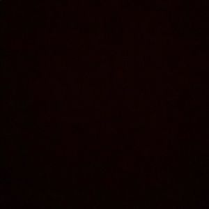 Meet your Posher, Luna